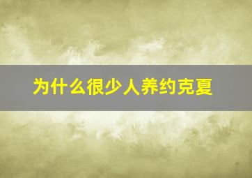 为什么很少人养约克夏