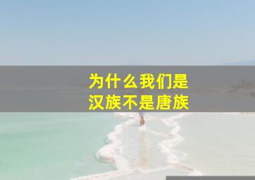 为什么我们是汉族不是唐族