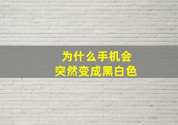 为什么手机会突然变成黑白色