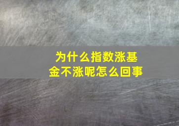 为什么指数涨基金不涨呢怎么回事