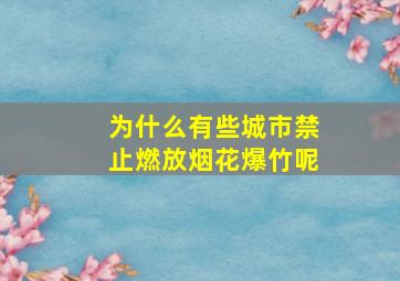 为什么有些城市禁止燃放烟花爆竹呢