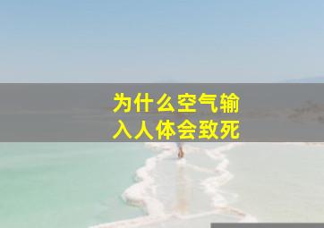 为什么空气输入人体会致死