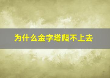 为什么金字塔爬不上去