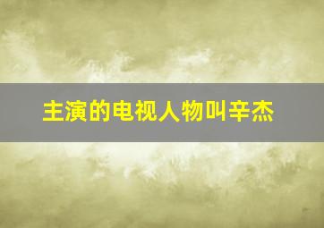 主演的电视人物叫辛杰