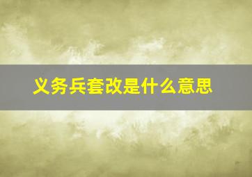 义务兵套改是什么意思