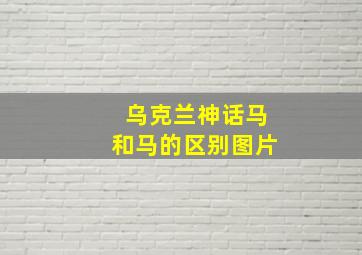 乌克兰神话马和马的区别图片