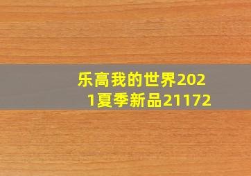 乐高我的世界2021夏季新品21172