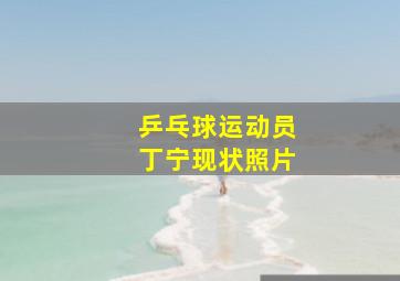 乒乓球运动员丁宁现状照片