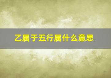 乙属于五行属什么意思