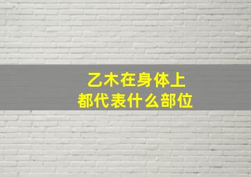 乙木在身体上都代表什么部位