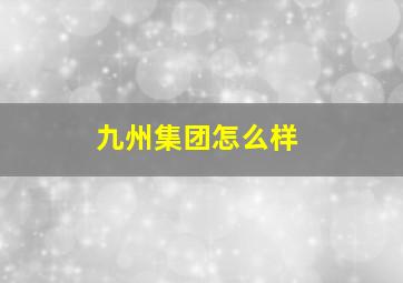 九州集团怎么样