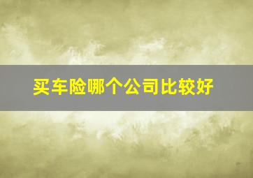 买车险哪个公司比较好