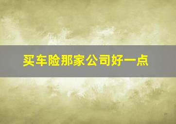 买车险那家公司好一点