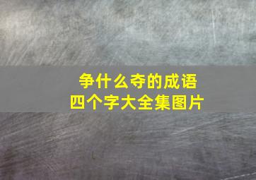 争什么夺的成语四个字大全集图片