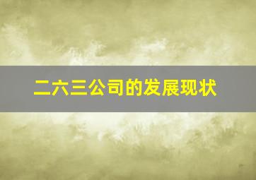 二六三公司的发展现状