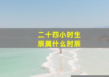 二十四小时生辰属什么时辰