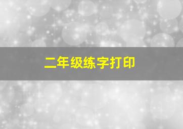 二年级练字打印