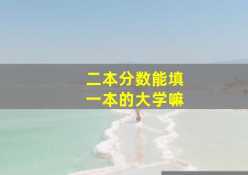 二本分数能填一本的大学嘛