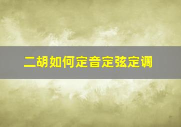 二胡如何定音定弦定调