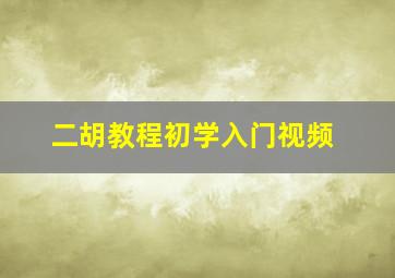 二胡教程初学入门视频