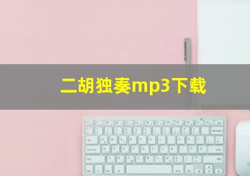 二胡独奏mp3下载