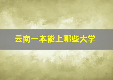 云南一本能上哪些大学