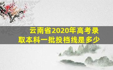 云南省2020年高考录取本科一批投档线是多少