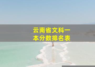 云南省文科一本分数排名表