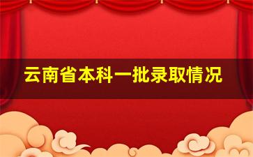 云南省本科一批录取情况