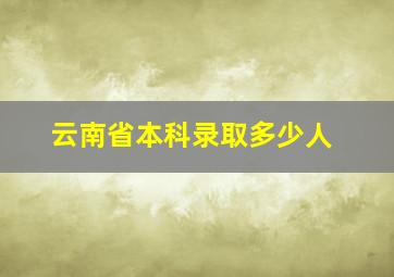 云南省本科录取多少人