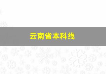 云南省本科线