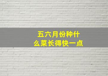 五六月份种什么菜长得快一点