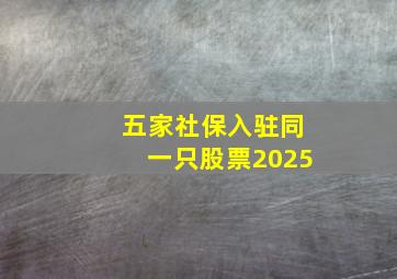 五家社保入驻同一只股票2025