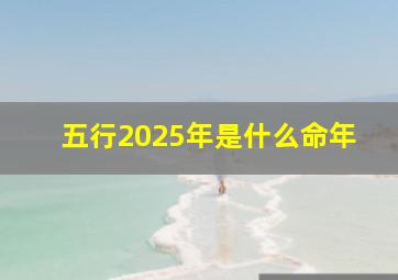 五行2025年是什么命年