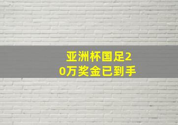 亚洲杯国足20万奖金已到手