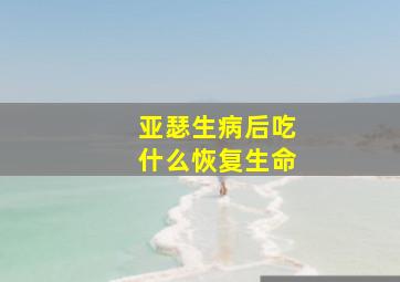 亚瑟生病后吃什么恢复生命