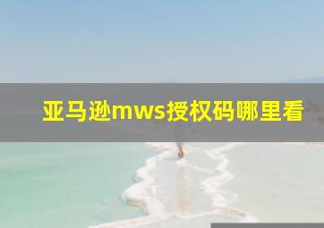 亚马逊mws授权码哪里看