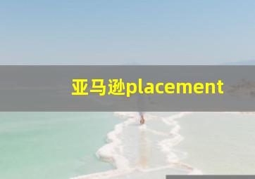 亚马逊placement