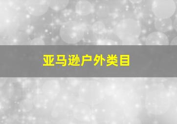 亚马逊户外类目