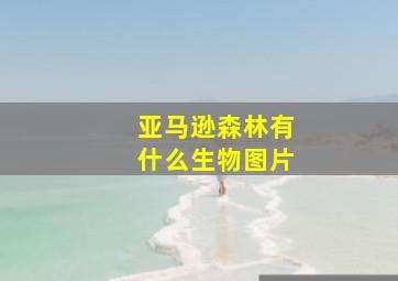 亚马逊森林有什么生物图片