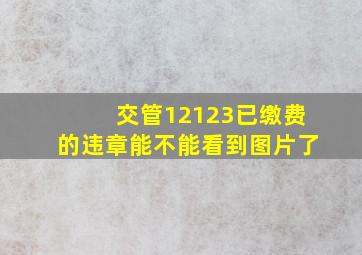 交管12123已缴费的违章能不能看到图片了