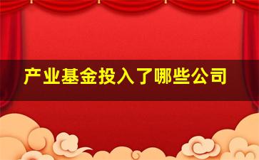 产业基金投入了哪些公司