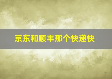 京东和顺丰那个快递快