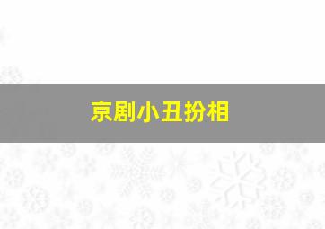 京剧小丑扮相