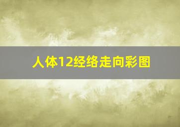 人体12经络走向彩图