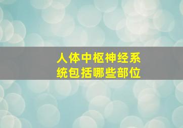 人体中枢神经系统包括哪些部位