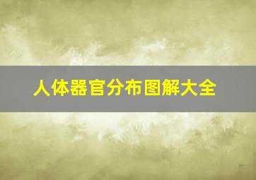 人体器官分布图解大全