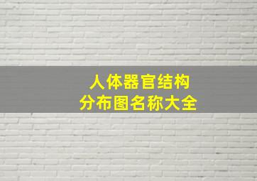 人体器官结构分布图名称大全