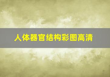 人体器官结构彩图高清