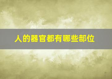 人的器官都有哪些部位